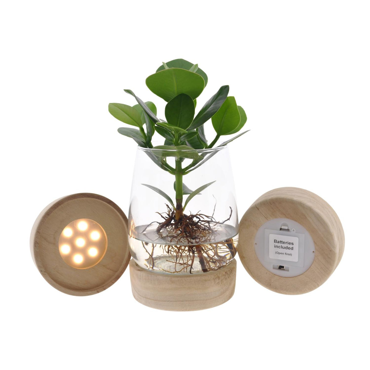 Productfoto van Clusia In Kingston Glas + LED