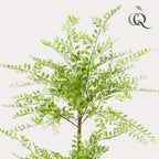 kunstplant - Sophora tree  - Honingboom, detail van het blad
