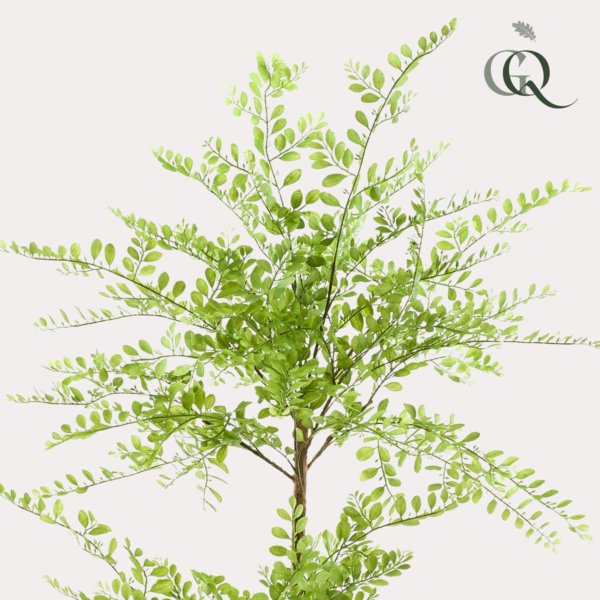 kunstplant - Sophora tree  - Honingboom, detail van het blad