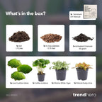 Productafbeelding van Pureplant