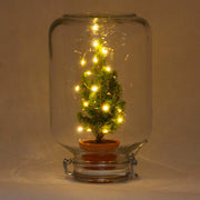 Easyplant - Christmas - Kerst decoratie