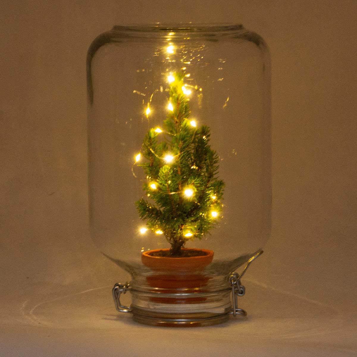 Productfoto van Easyplant - Christmas - Kerst decoratie