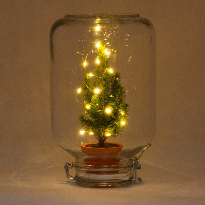 Easyplant - Christmas - Kerst decoratie