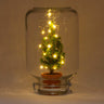 Easyplant - Christmas - Kerst decoratie