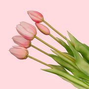 Tulpen boeket Roze - 10 stuks - &