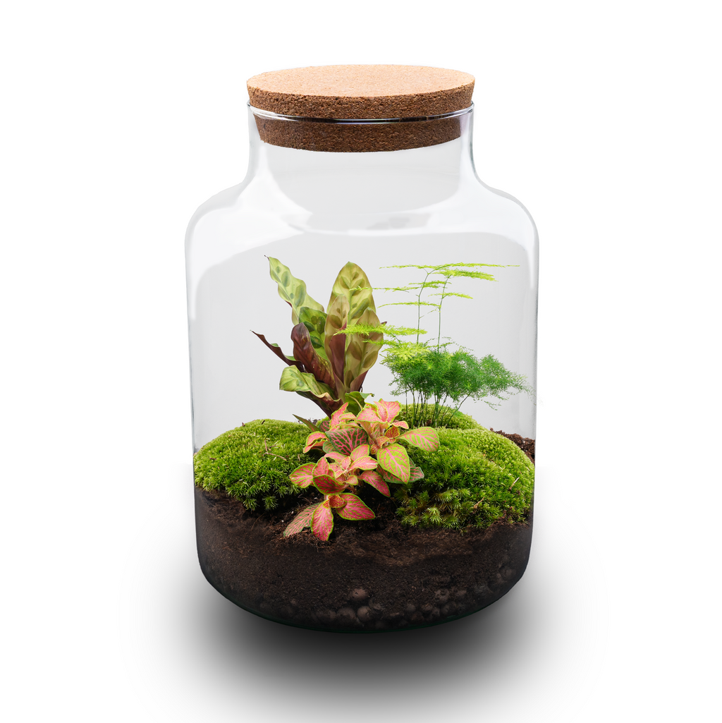 Detailfoto van DIY Planten terrarium met licht - Milky - Zonder gereedschap
