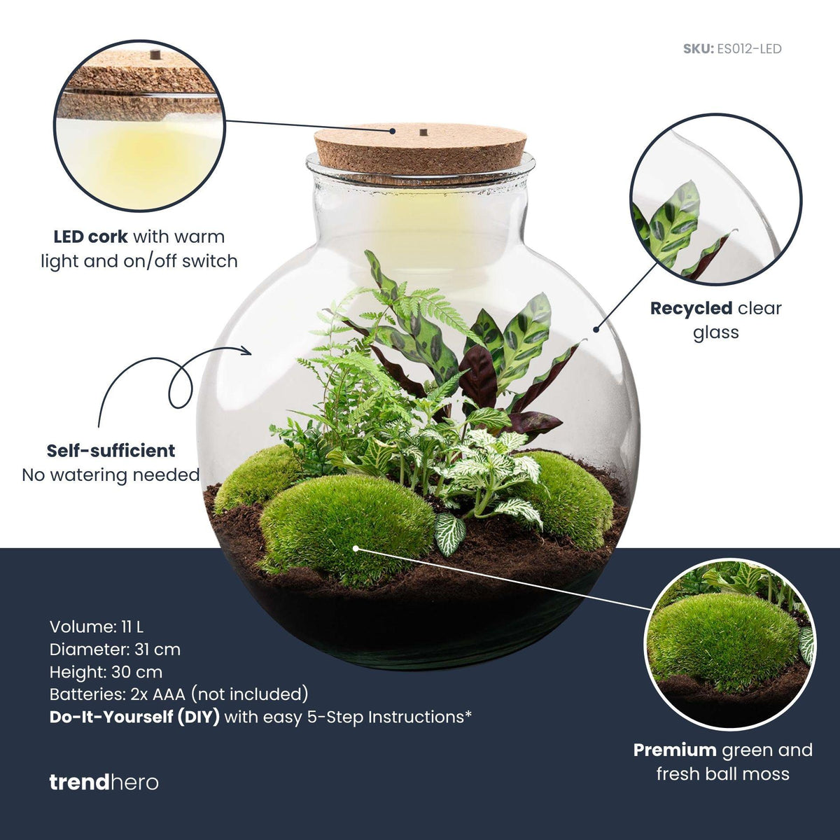 Detailfoto van DIY terrarium Bolder Bob met licht en ledkurk