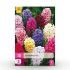 Hyacinth mix, detail van het blad