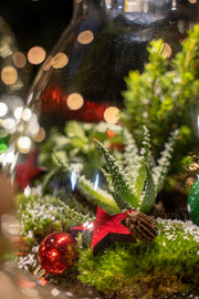 DIY kerstterrarium &