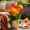 Tulp Gudoshnik Double