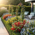 Fruitplanten rainbow mix, rode bes, gele framboos, zwarte braam en blauwe bes, plant in pot