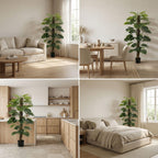 Monstera on pole, kenmerkend blad