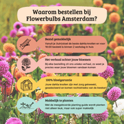 Dahlia mix Gerard&