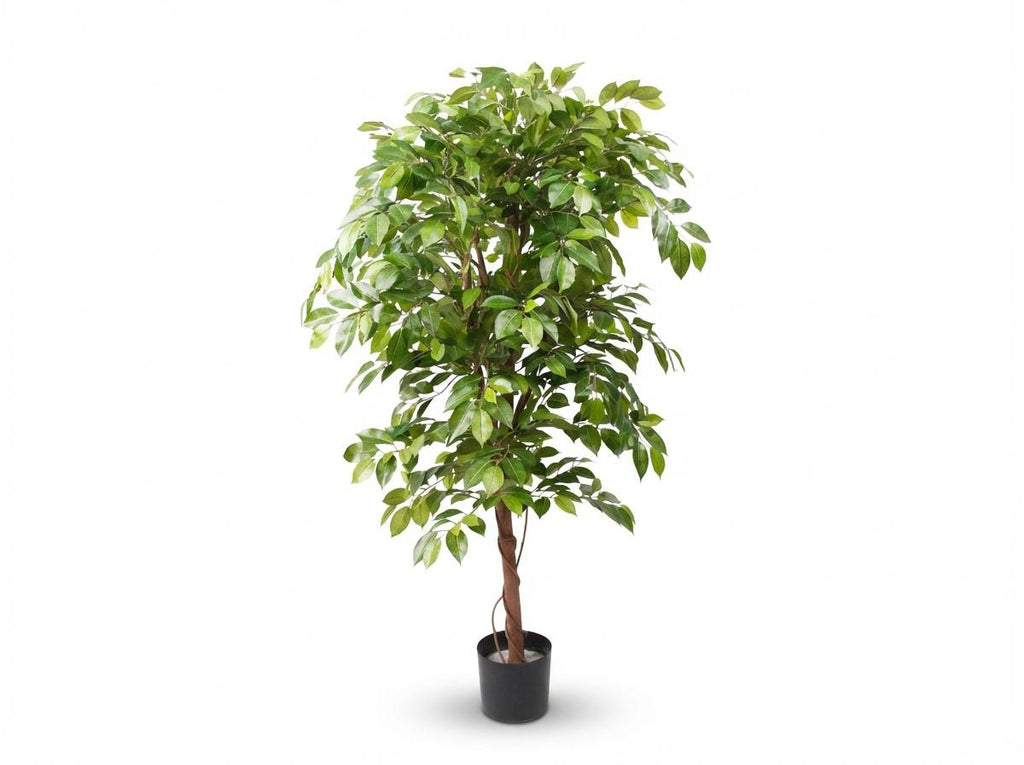 Ficus Deluxe Vine Kunstboom, groeiwijze van de plant