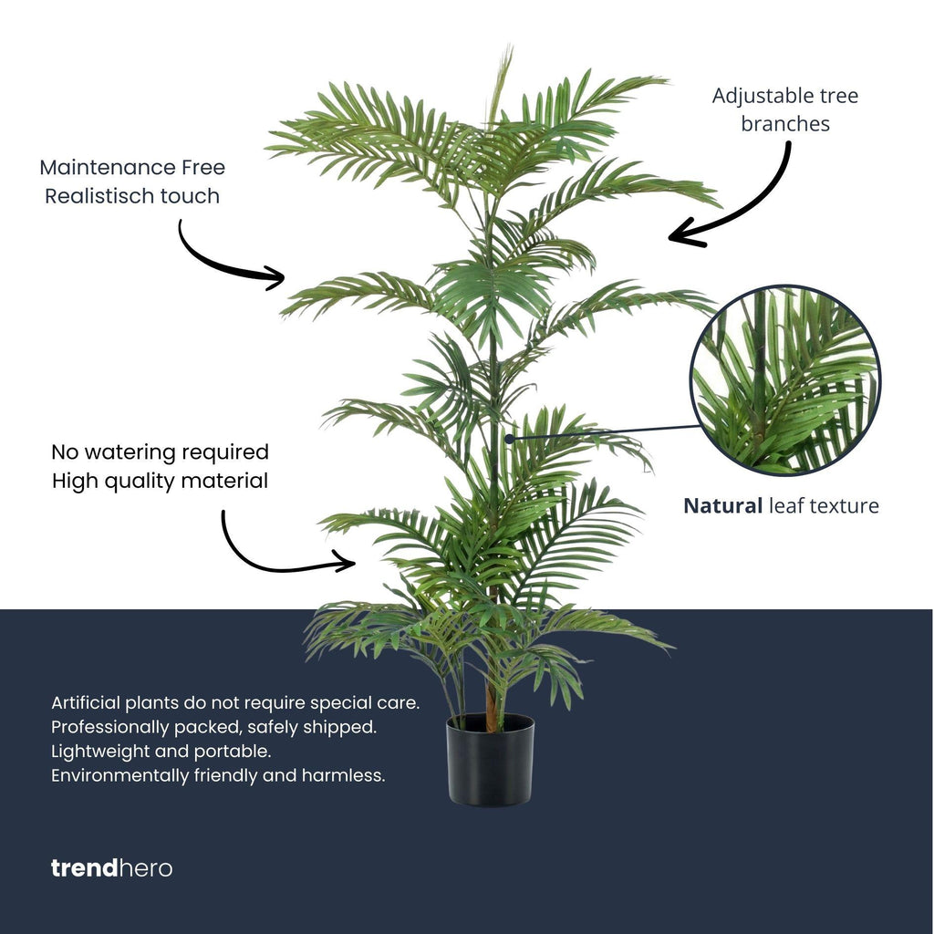 Palm Phoenix, gezonde plant
