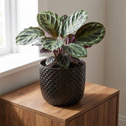 Plantenpot met reliëf, keramiek in matzwart, Ø13,5 cm