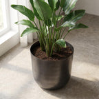 Detailfoto van Pot Mayk Lead 20 cm