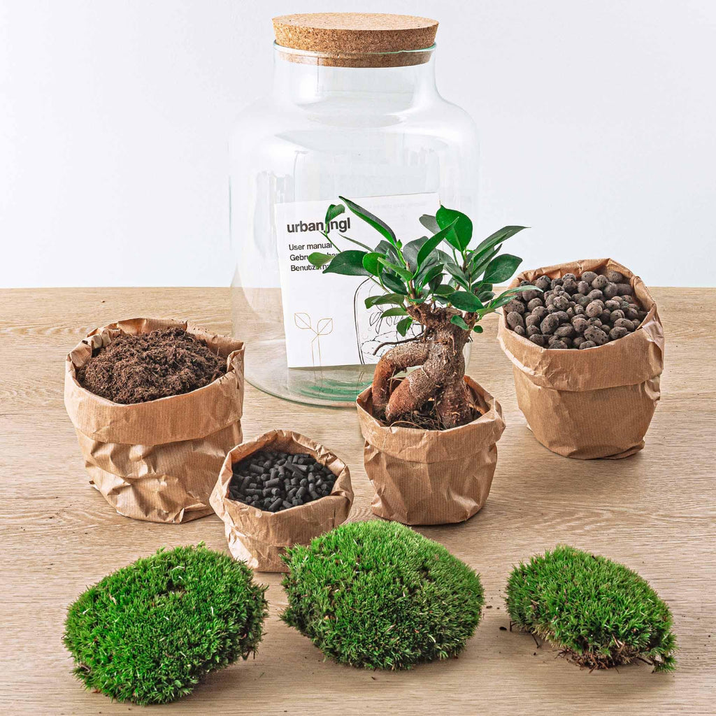 Detailfoto van DIY terrarium Milky Bonsai met licht, hark en schep