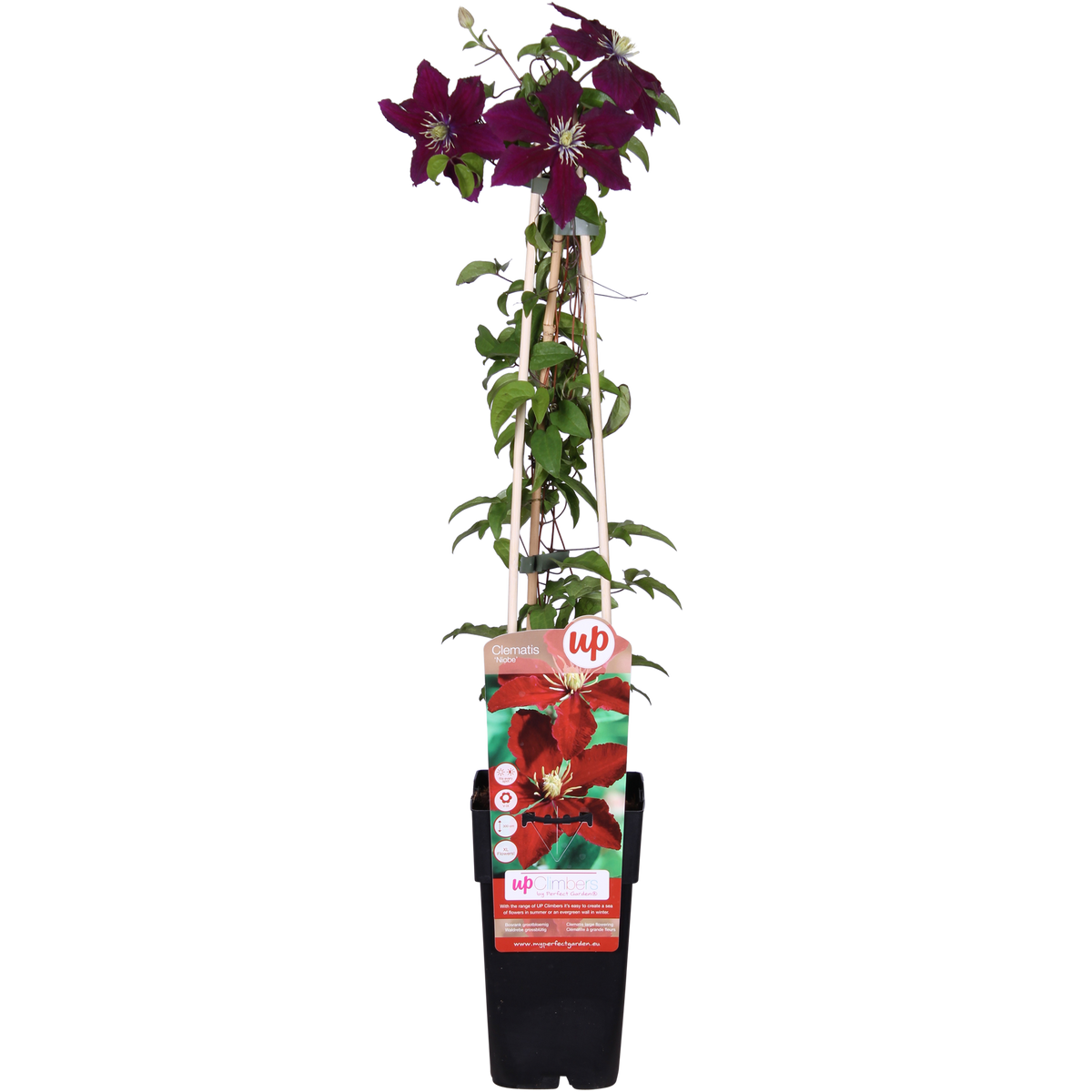 Productafbeelding van Pureplant