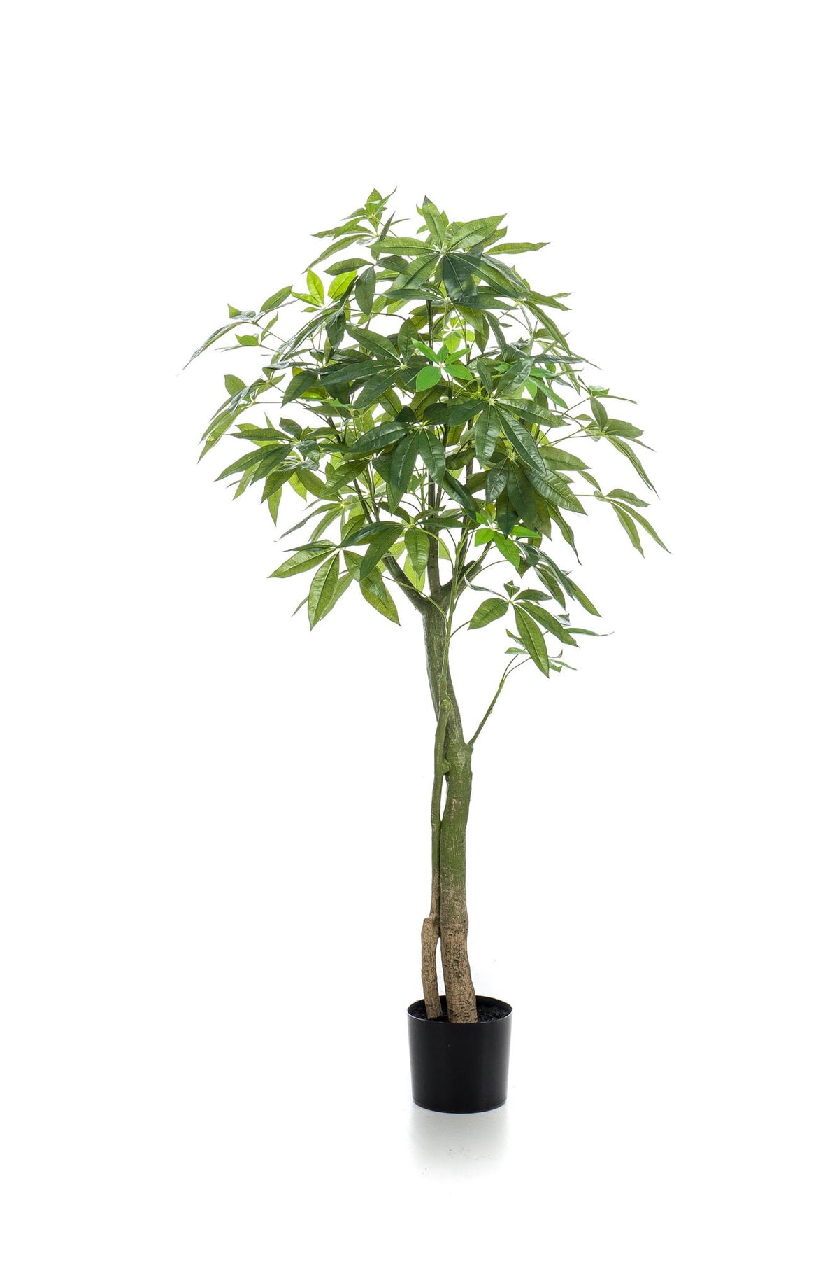 Productafbeelding van Pureplant