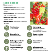 Fruitplanten mix &