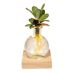 Detailfoto van Calathea in Samoa glas met LED verlichting