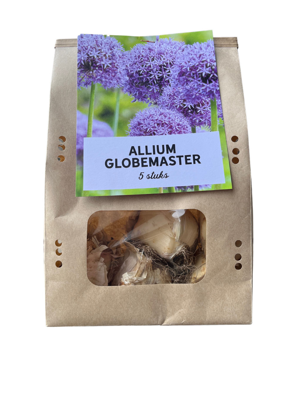 Sierui Allium 'Globemaster', ronde paarse bloem, 5 bollen, groene bladeren