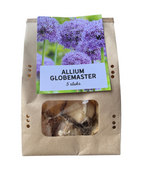 Sierui Allium 'Globemaster', ronde paarse bloem, 5 bollen, groene bladeren