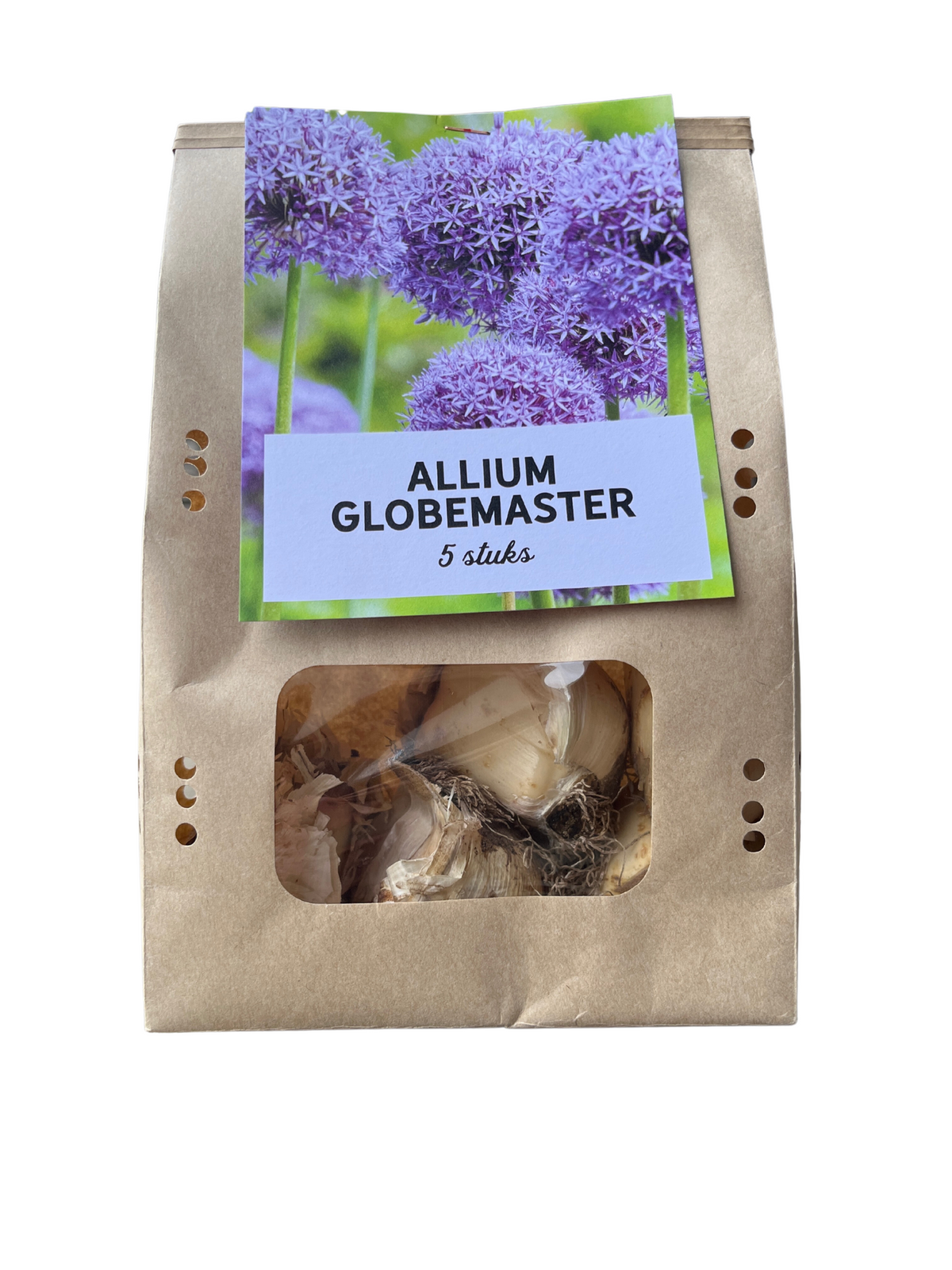 Sierui Allium 'Globemaster', ronde paarse bloem, 5 bollen, groene bladeren