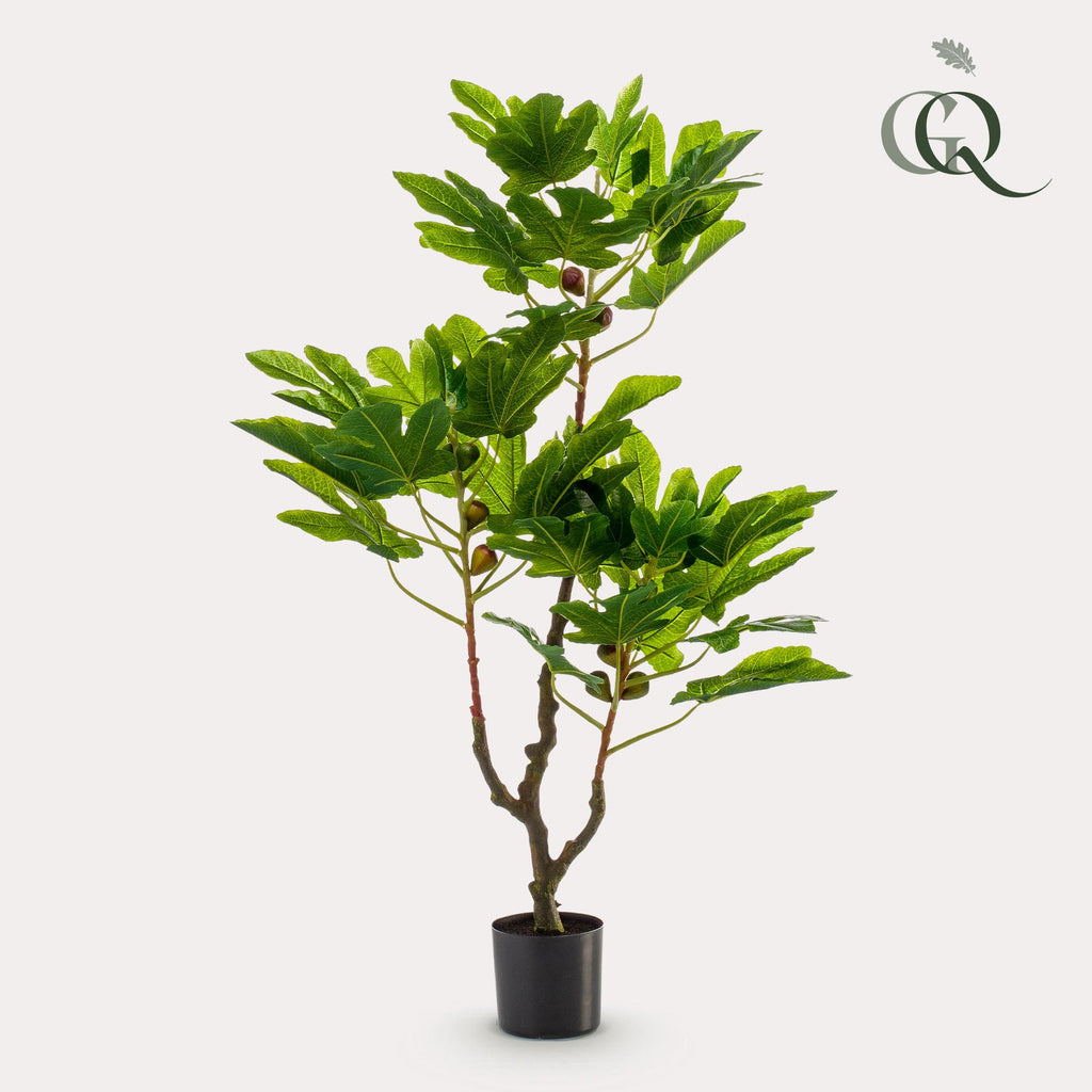 Productafbeelding van Pureplant