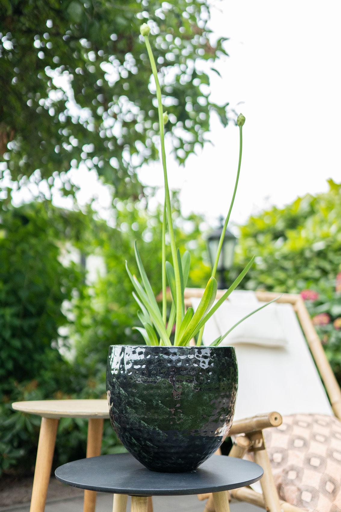 Set van 3 potten - Thom Zwart metaal - Breed, plant in pot