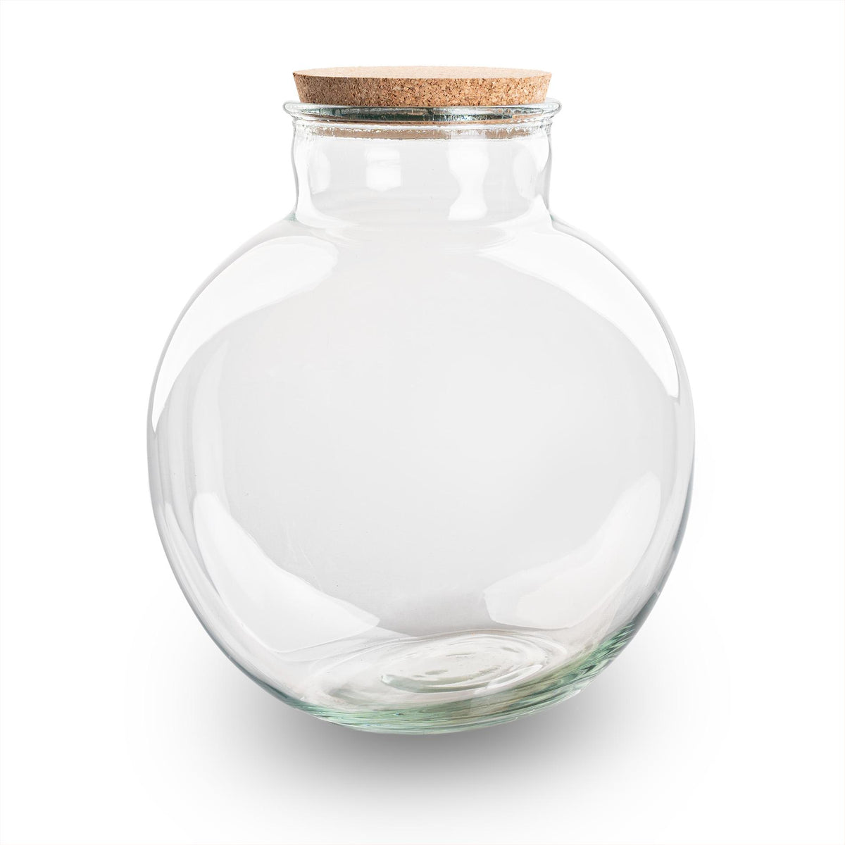 Terrarium fles met kurk - Bolder Bob - Zonder ledkurk, detail van het blad