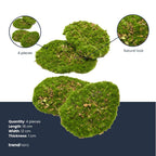 Mosplaat – mos – Set van 4 – Kunstmos, detail van het blad