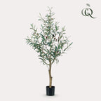 Productafbeelding van Pureplant