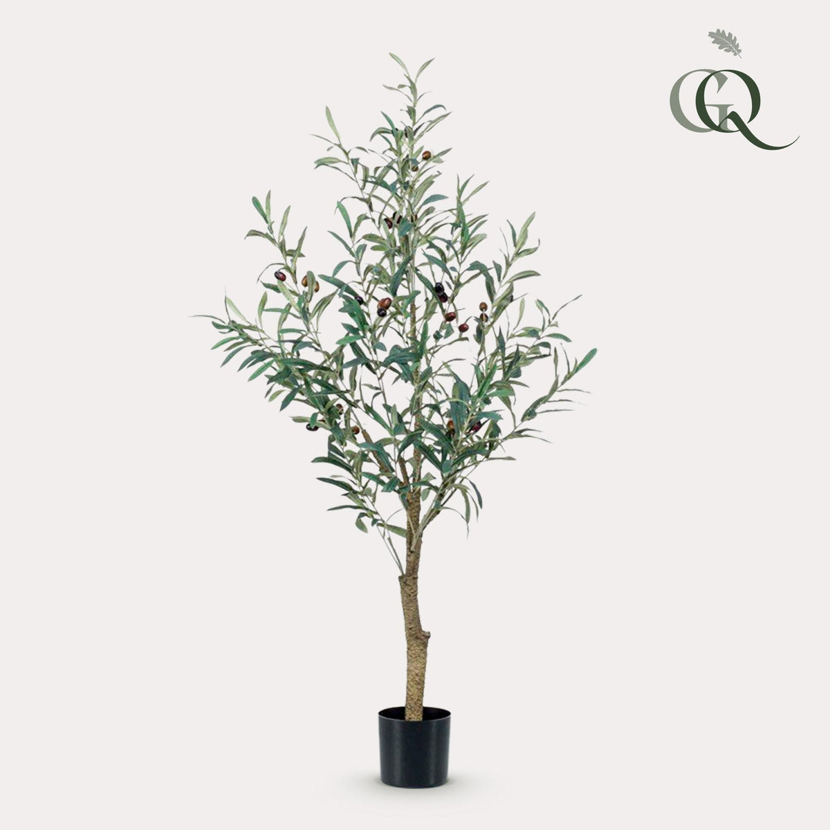 Productafbeelding van Pureplant
