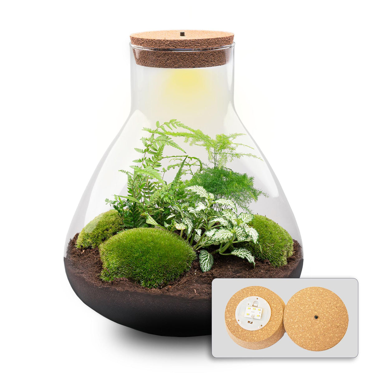 Detailfoto van DIY terrarium Sam XL Green met licht, zonder gereedschap