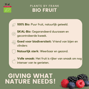 6 x Biologische Druivenplanten