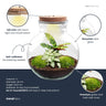 DIY Planten terrarium (met licht) - Teddy - Met ledkurk