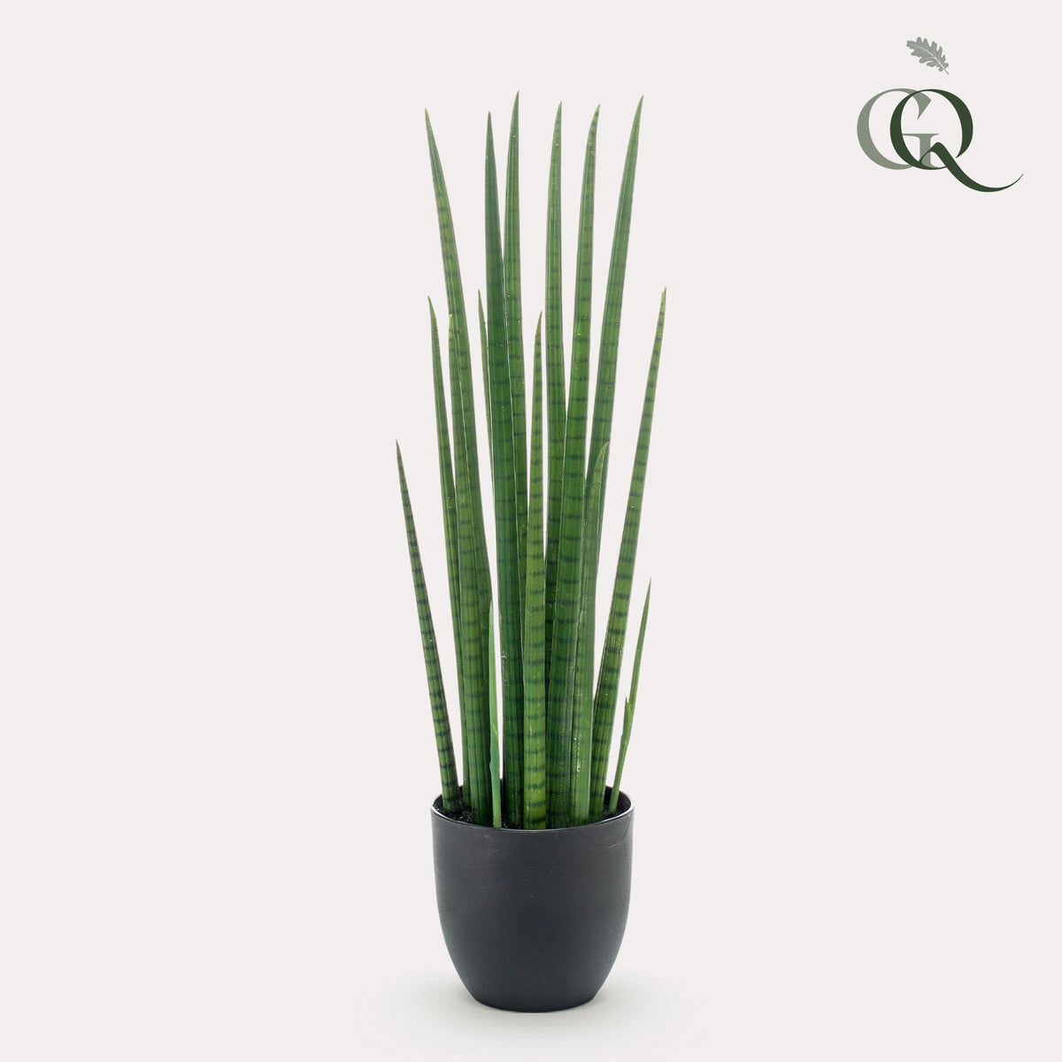 Productafbeelding van Pureplant