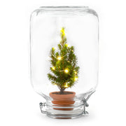Easyplant - Christmas - Kerst decoratie