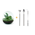 Detailfoto van DIY terrarium bolglas Dome, hark, schep, pincet