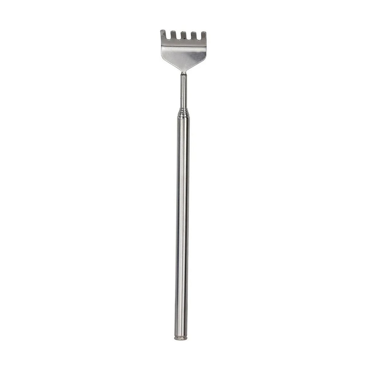 Terrarium Tool - Hark, groeiwijze van de plant