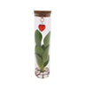 Mix In Tube Glas + Jewel (hartje)