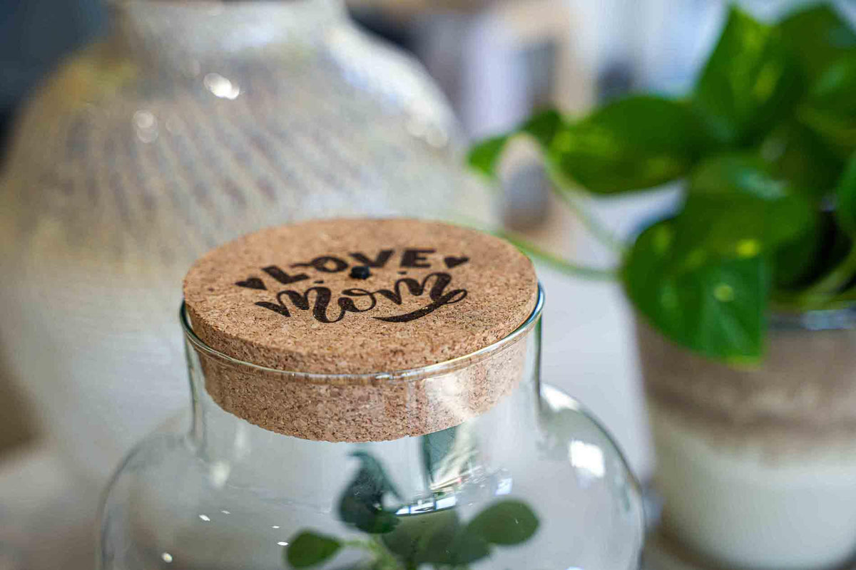 Terrarium Little Milky 'Love Mom', gegraveerde kurk en licht, sierlijke plant