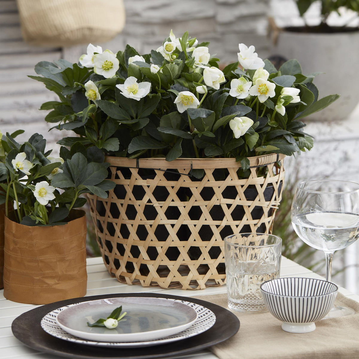 Productfoto van Kerstroos