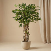 Ficus Liana Kunstboom