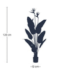 Strelitzia met bloemen, detail van het blad