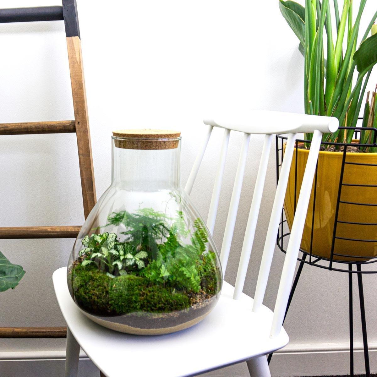 Productfoto van DIY terrarium Sam XL Green met licht, zonder gereedschap