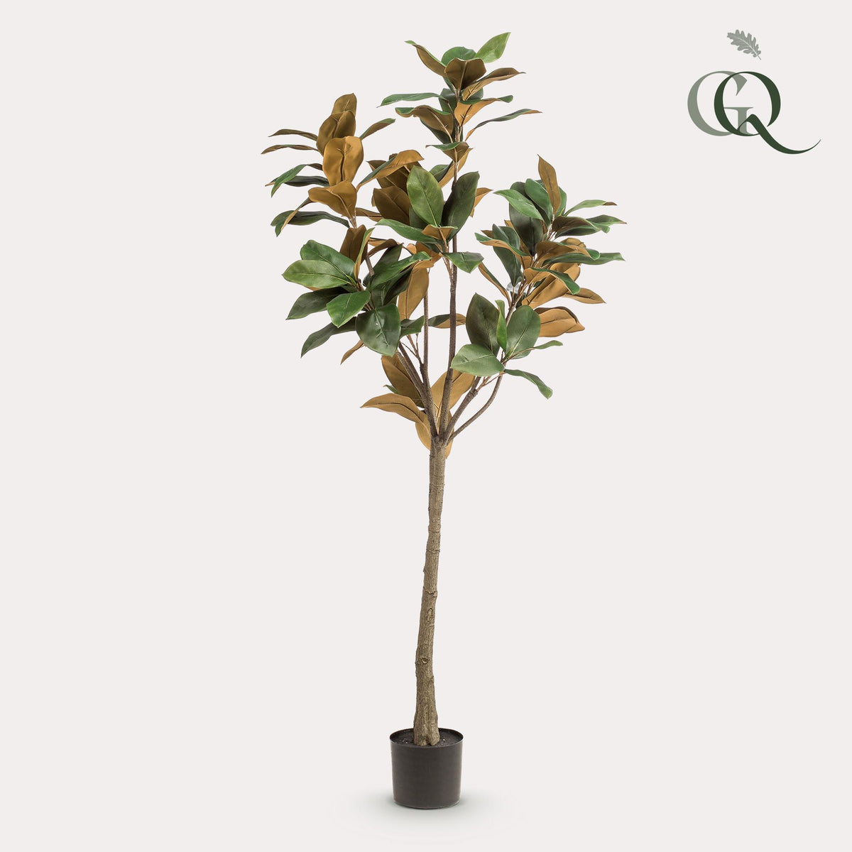 Kunstplant - Magnolia Grandiflora, detail van het blad