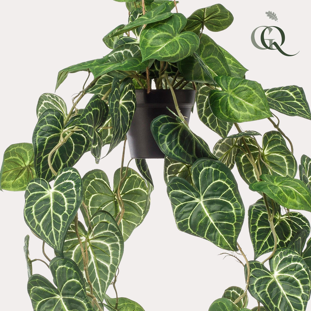 Productafbeelding van Pureplant